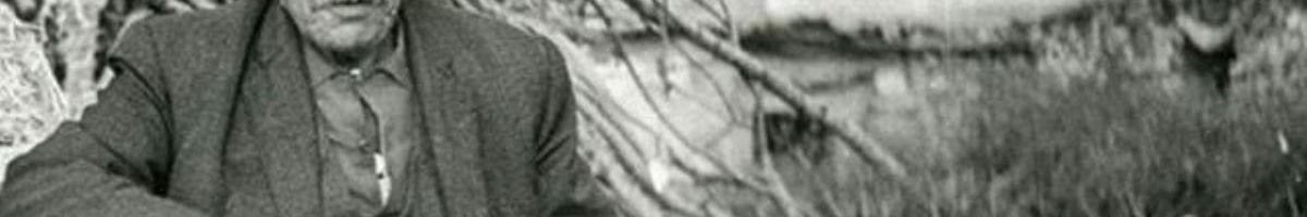 turkudiyari