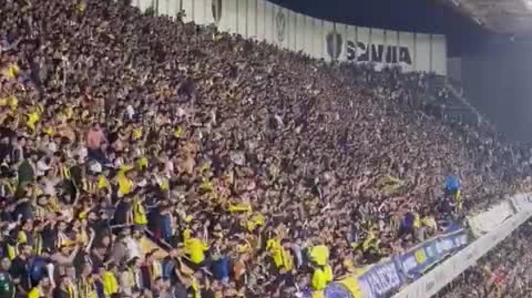 Fenerbahçe Taraftar (FB-GZTP) 04.22